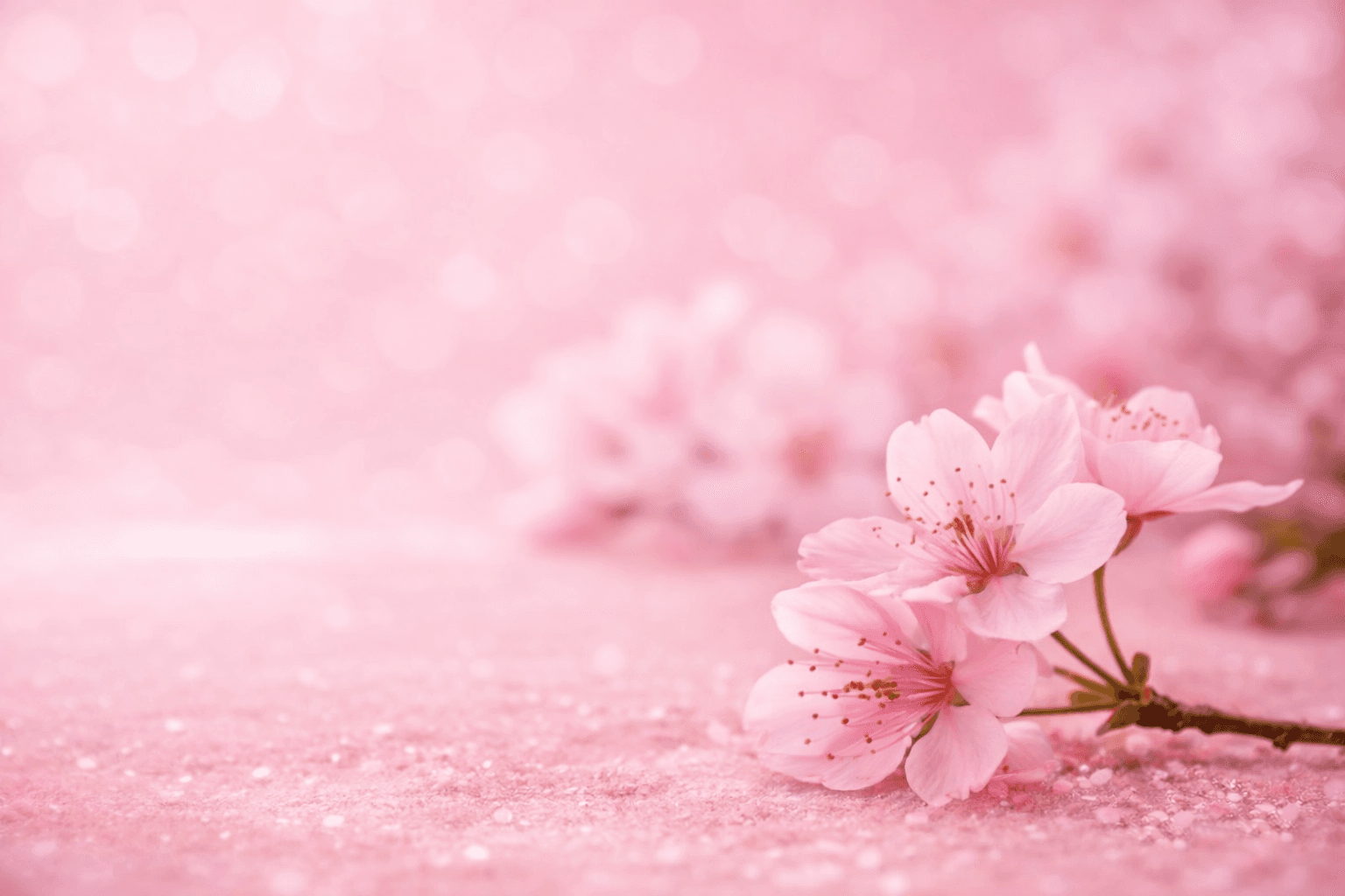 Floral Background